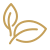 icons8-fresh-50